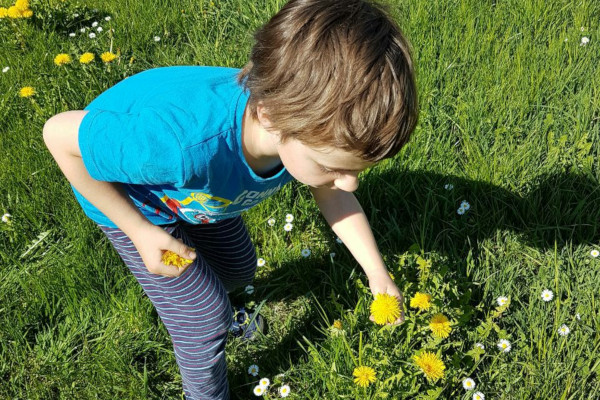 17 / 52 Frühling, Frühling, Frühling